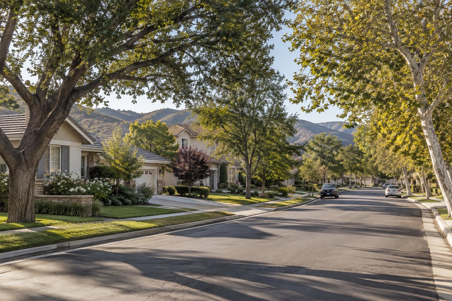 A tree-lined Santa Clarita residential street, illustrative
